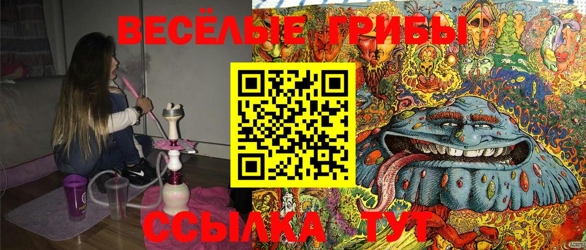 Псилоцибиновые грибы Psilocybine cubensis Нижнекамск