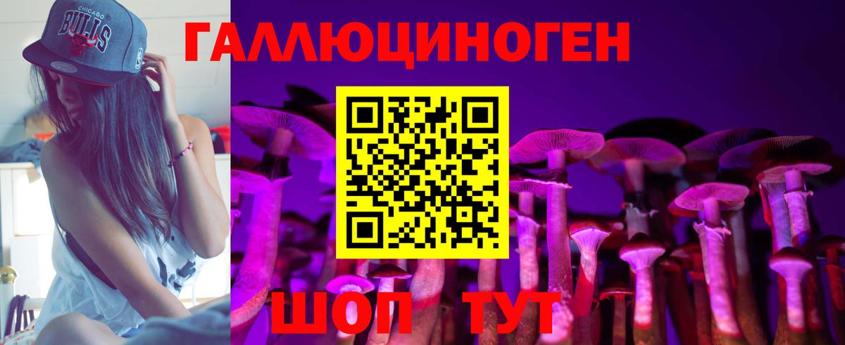 Нижнекамск  Псилоцибиновые грибы Magic Shrooms  Вход с VPN  Псилоцибиновые грибы Psilocybe 